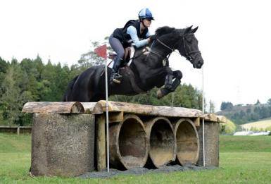 Eventer For Sale